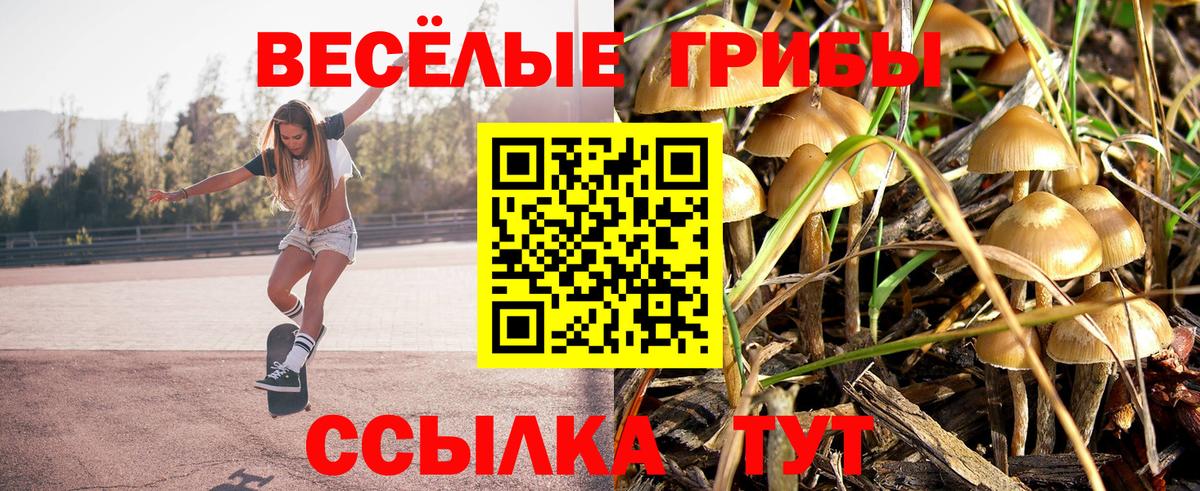 Псилоцибиновые грибы мицелий Надым