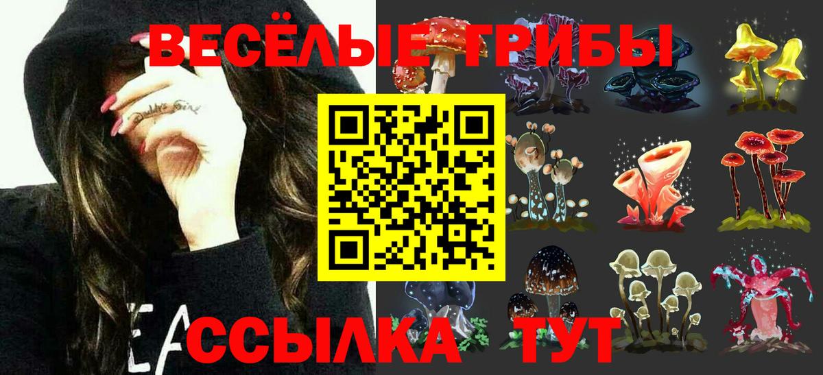 Псилоцибиновые грибы мицелий  Вход с VPN  Псилоцибиновые грибы Magic Shrooms  Надым 